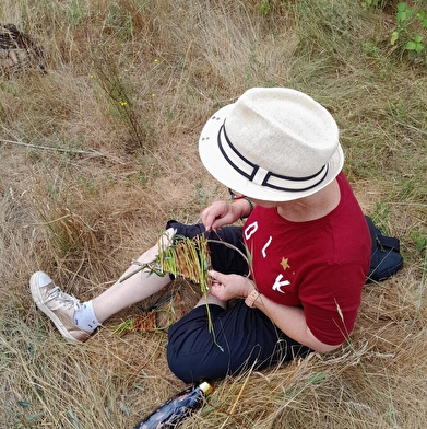 Tressage vagabond 'Vieille Loire'