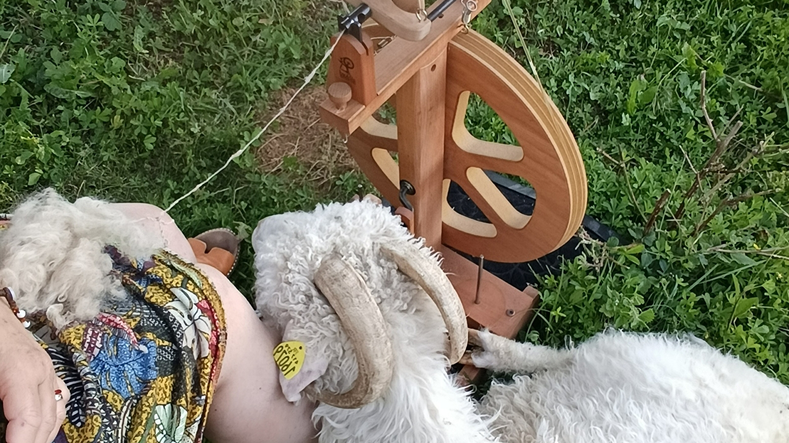 Ateliers initiation de filage au rouet - 2 formules