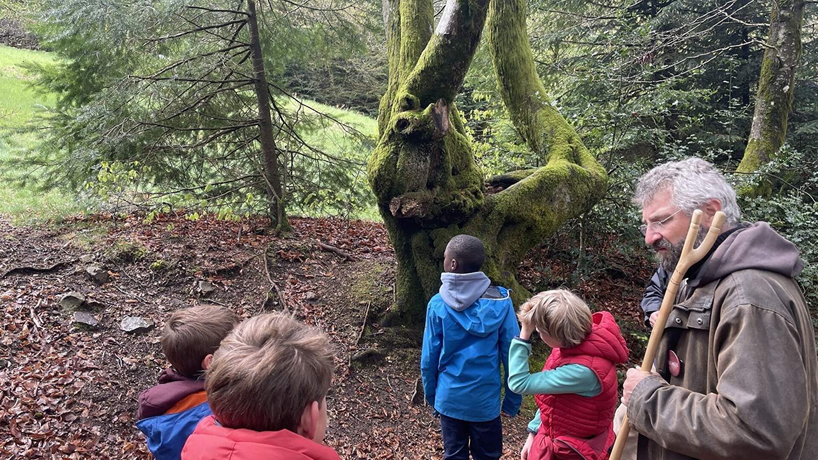 A l'assaut du Moussu ! Visite de la forêt du Beuvray réservée aux enfants.