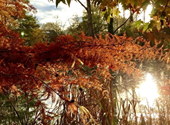 Chalet au bord de l'eau - SAUVIGNY-LES-BOIS