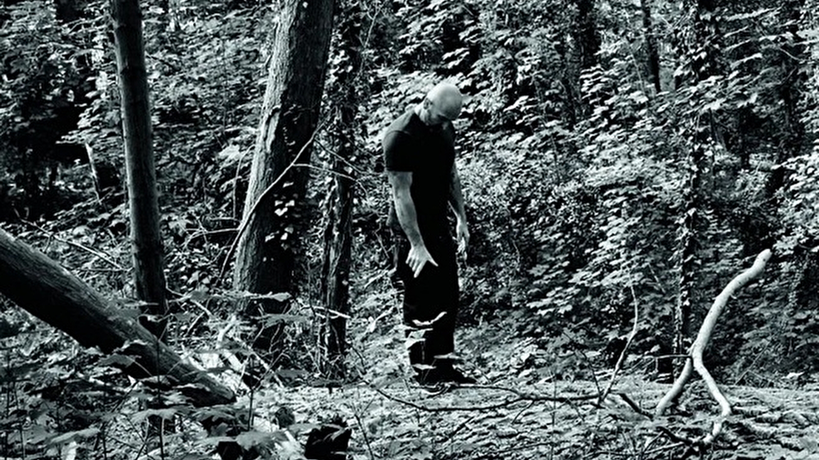 Steph Cop 'Chemin de Bibracte acte I'