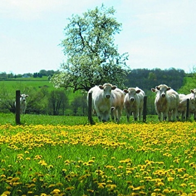 Circuit Les Marches du Morvan