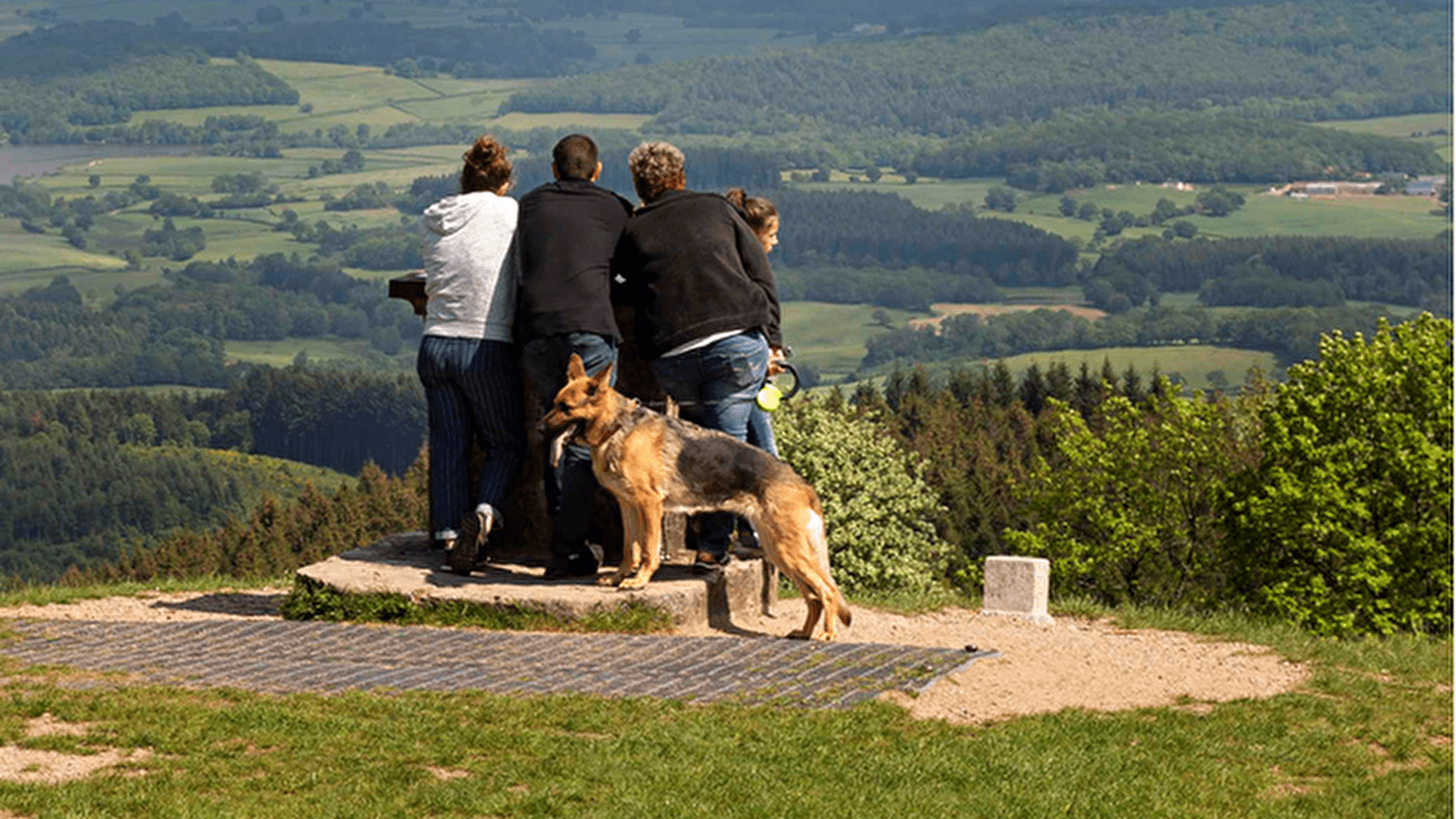 Toutou't'à pied : une balade qui a du chien à Bibracte !