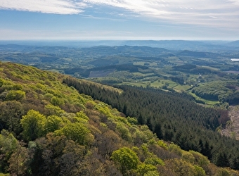 Tour du Morvan des sommets  - SAINT-LEGER-SOUS-BEUVRAY