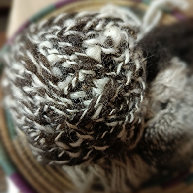 Ateliers 'autour de la laine'