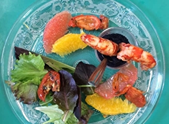 L'île Margot - CLAMECY