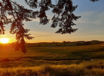 Château de Mongazon - SAINT-FRANCHY