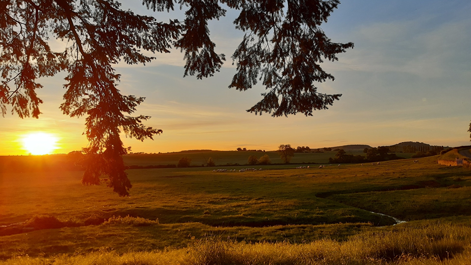 Château de Mongazon