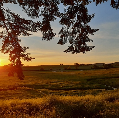 Château de Mongazon