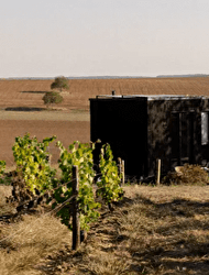 Tiny House au coeur des Coteaux du Giennois - SAINT-PERE