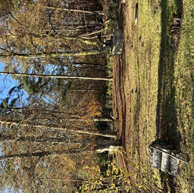 Petit Paradis au coeur du Morvan