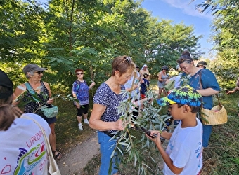Tressage vagabond 'Vieille Loire' - DECIZE